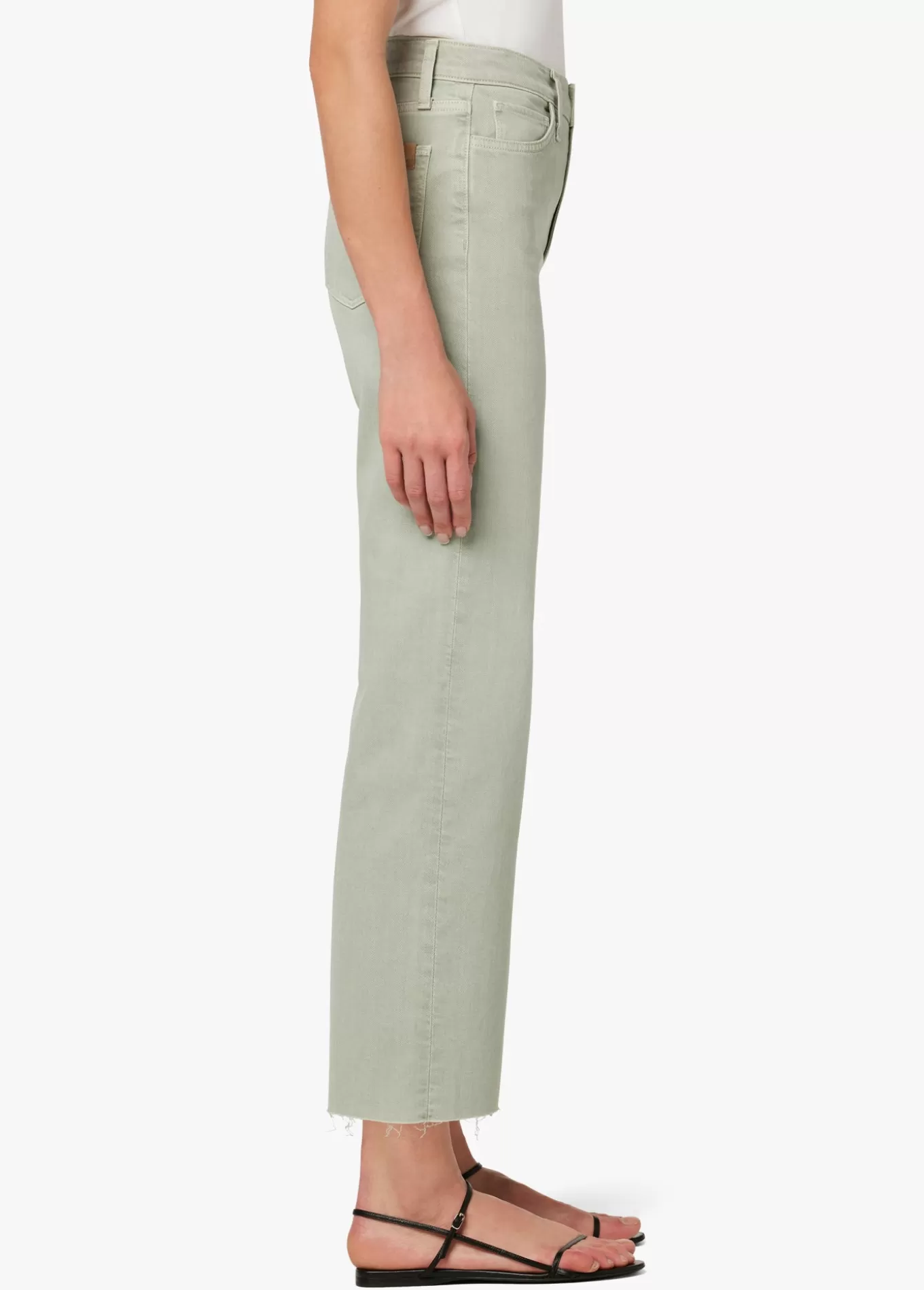 Women Joe’s Jeans THE BLAKE